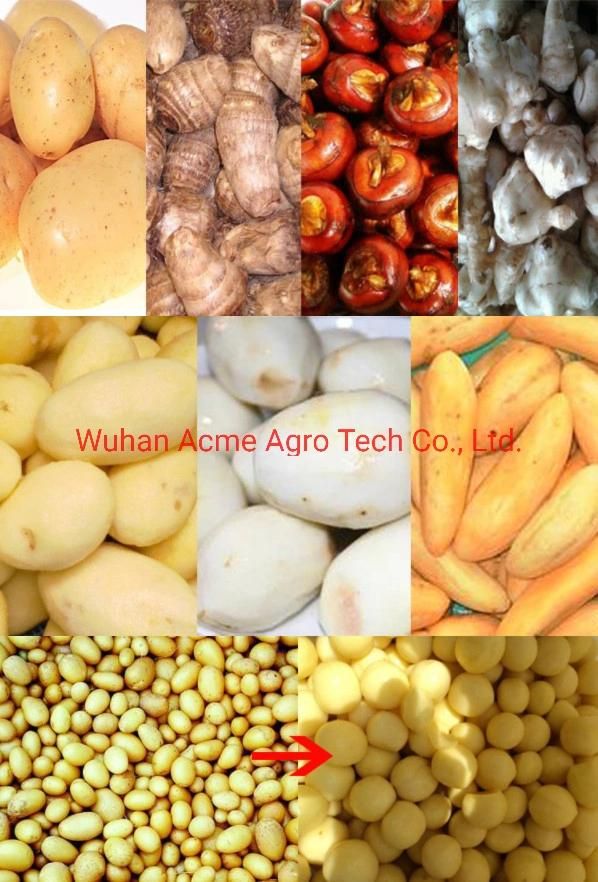 Fully Automatic Washing Machine / Potato Peeling Machine / Cassava Peeler