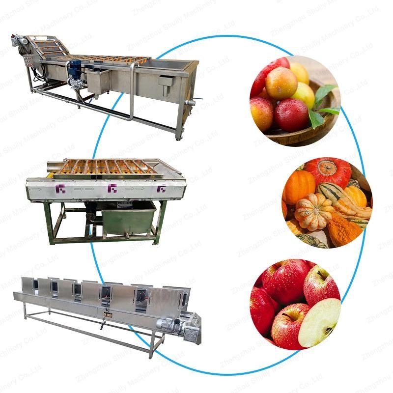 High Effective Fresh Date Fruit and Vegetable Cleaning Dryer Machine