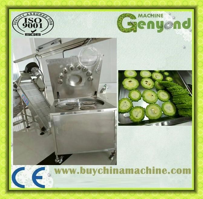 Fruit Cutting Machinery for Sale in China