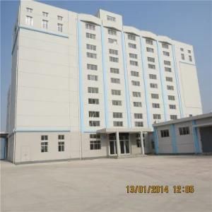 300tons of Wheat Flour Mill Machine Complete Plant with Building Structure