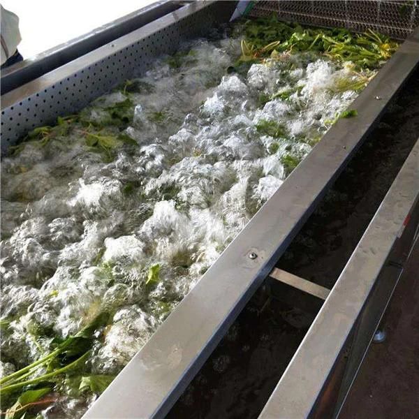 Automatic Industrial Leafy Vegetable Conveyor Washer Spinach Lettuce Washing Machine