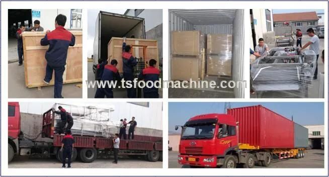 Frozen Fish Carton Tunnel Sterilizer, Carton Sterilizer Machine