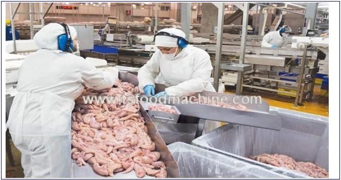 Fried Meat Snack Food Chicken Production Line Price