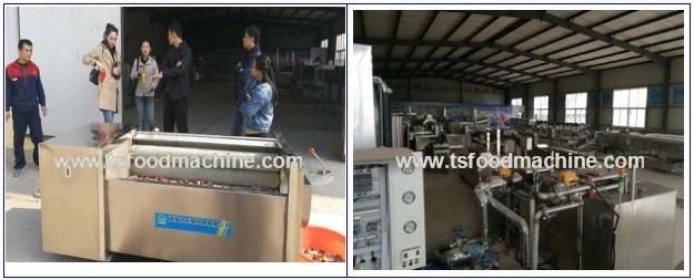 Vegetable Sterilization Line, Fruit Blancher and Vegetable Blanching Sterilizer Machine