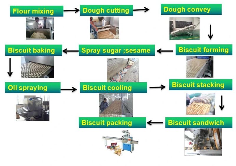 Automatic Food Machine for Making Biscuit
