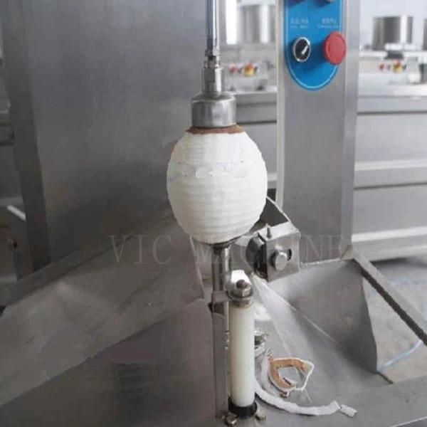 Automatic pineapple and coconut peeling machine