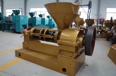 Gold Color Cold Sunflower Oil Press with Biggest Gearbox