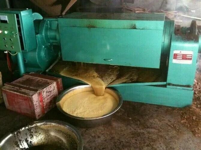 Peanut Sunflower Cotton Seeds Oil Press Machine