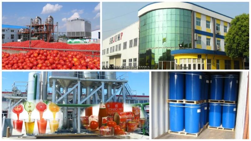 Large Mango Juice Plant Machine Manufacturer in China