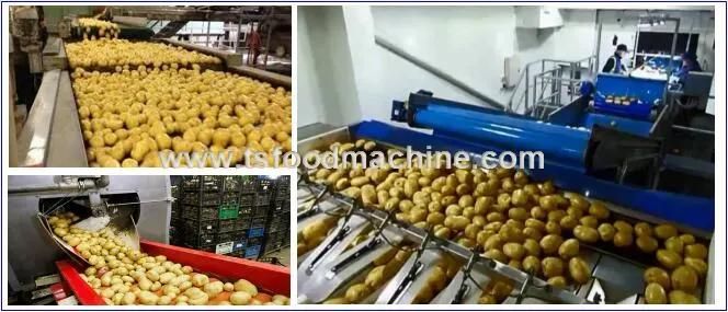 Vegetable Washing Machine Cleaning Machinery for Potato