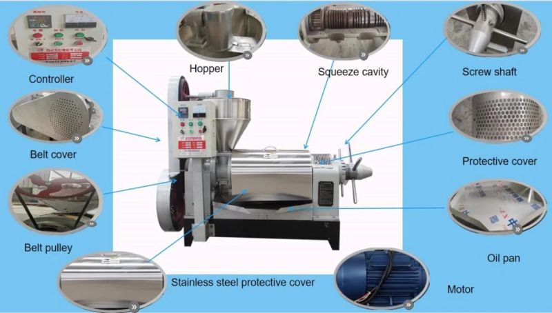 6yl-120d 120kg/H Spiral Type Oil Extraction Machine Price