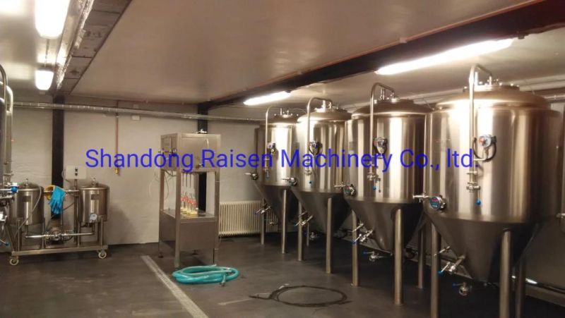 Stock Products of Widely Ordered Brewery Equipment, Beer Fermentation Tanks of 500L, Stainless Steel 500L Fermenter