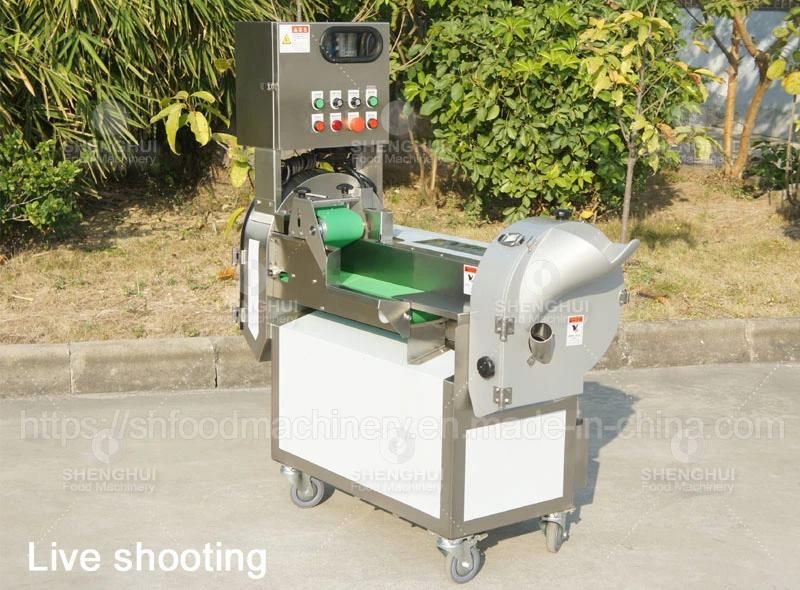 Multifunctional Vegetable Slicing Cutting Shredding Machine Fruit Cutting Equipment