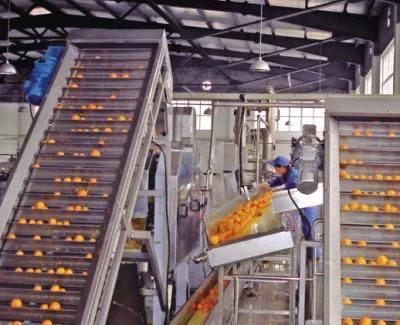 10TPH Canned Orange flesh automatic processing line Orange/Citrus pulp processing line