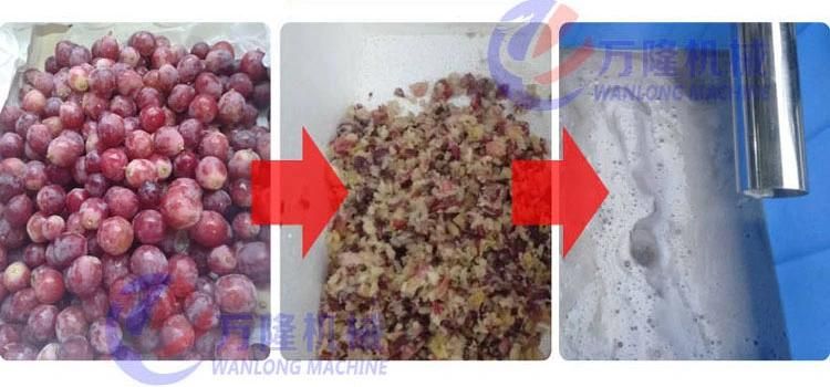 Commercial Screw Press Juice Making Machine Pomegranate Juice Production Juicer Machine