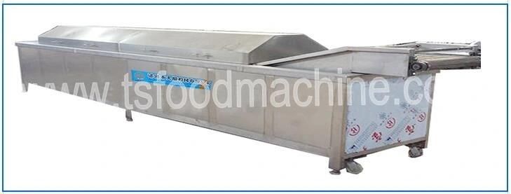 Automatic Continuous Cooking Machine and Blancher Machine for Banana and Plantain