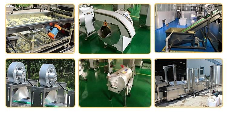 Fried Cassava Chips Machine Stick Cracker Machine Potato Sticks Salad Chips Machine Extruder Pellet Snack Frying Prouction Line