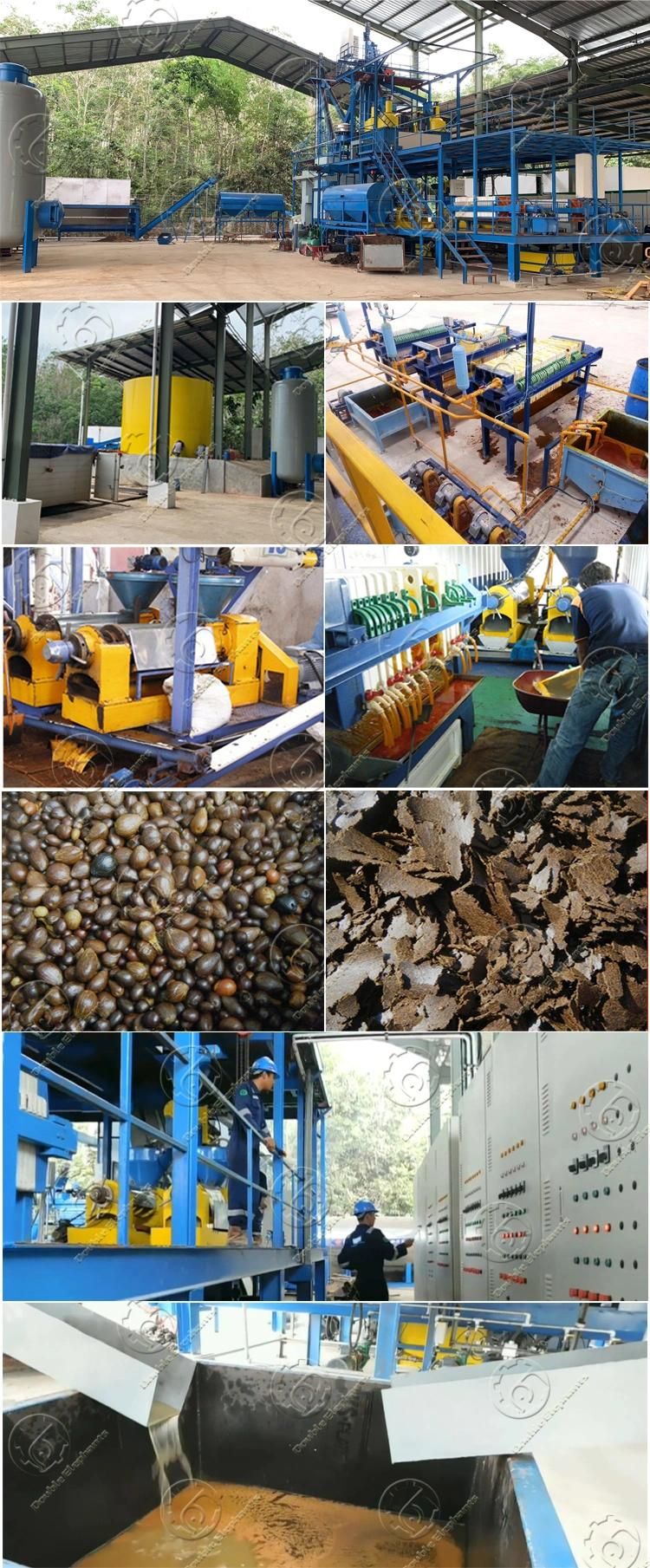 1-20ton/H Thailand Palm Fruit Oil Extraction Processing Palm Oil Press Machine