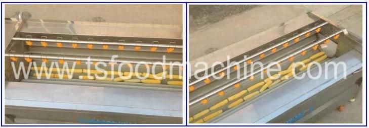 Maize Corn Washing Machine and Radish Washer Machine