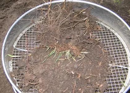 Garden Sieve for Removing Debris and Stones From Soil