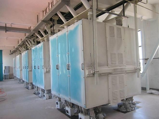 120t/24h Wheat Maize Flour Mill