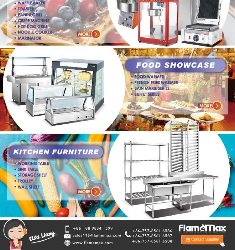 Gas Shawarma Kebab Machine with 6-Burner (HGV-B26)