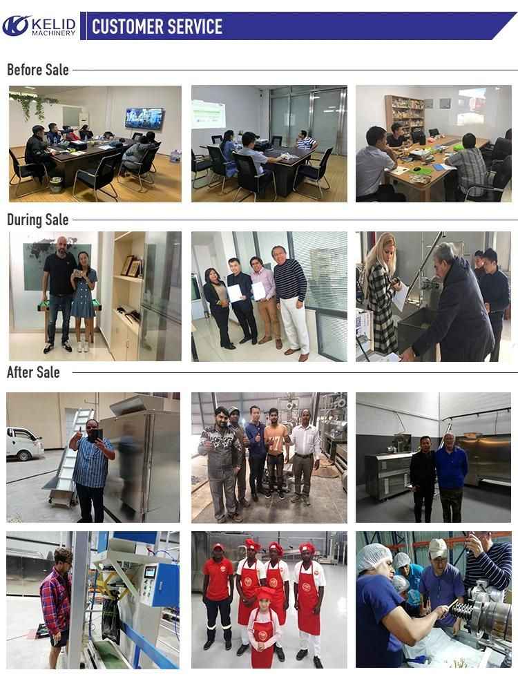 Japanese Panko  Bread  Crumb Production Processing Line
