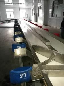 China Factoey Price of Sorting Conveyor/High Quality and Lowest Price Sorting Conveyor