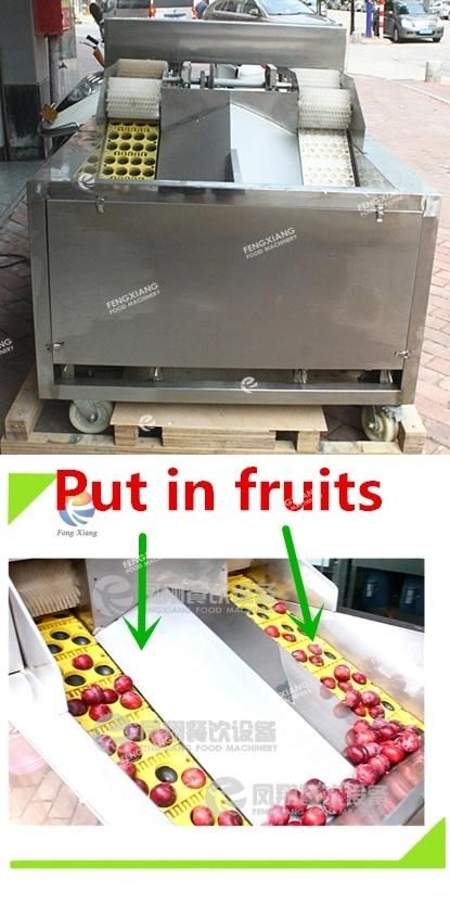 Fruit Plum Cored Separator, Red Dates Pitter Pitting Machine