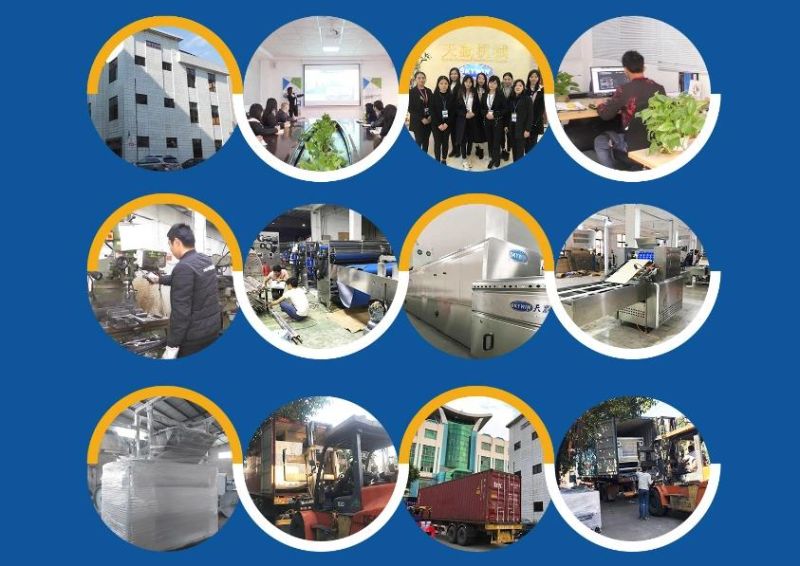 Industrial Hard Biscuits Forming Dual Rotary Cutter Machine