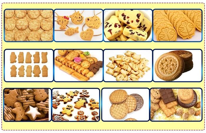 High Quality Biscuit Production Line Machine Made in China