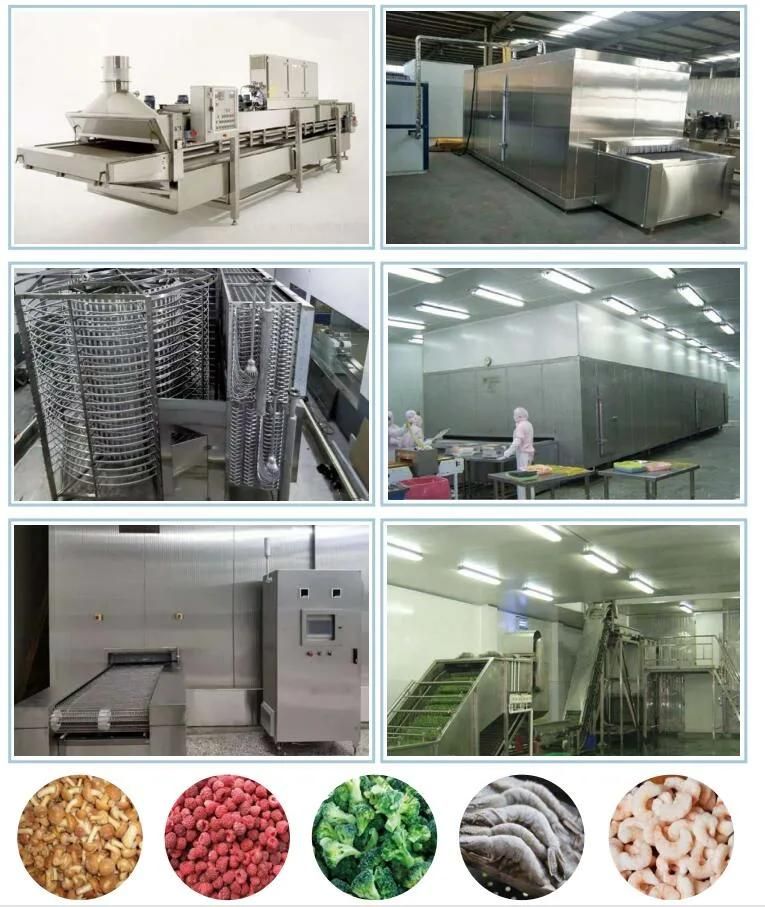 High Quality 1000kg/H IQF Tunnel Quick Freezer for Seafood Processing