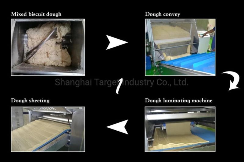 Automatic Biscuit Processing Machine (BCT300)