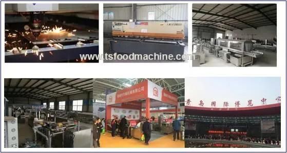 Fried Chicken Machine and Chips Frying Machine