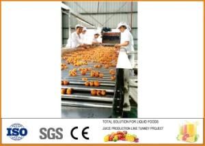 Tube Paste and Juice Pasteurization Machine Tomato Paste Production Tomato Paste ...