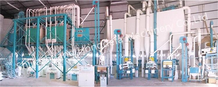 60t Brazil Running Wheat Flour Mill Machine with Price