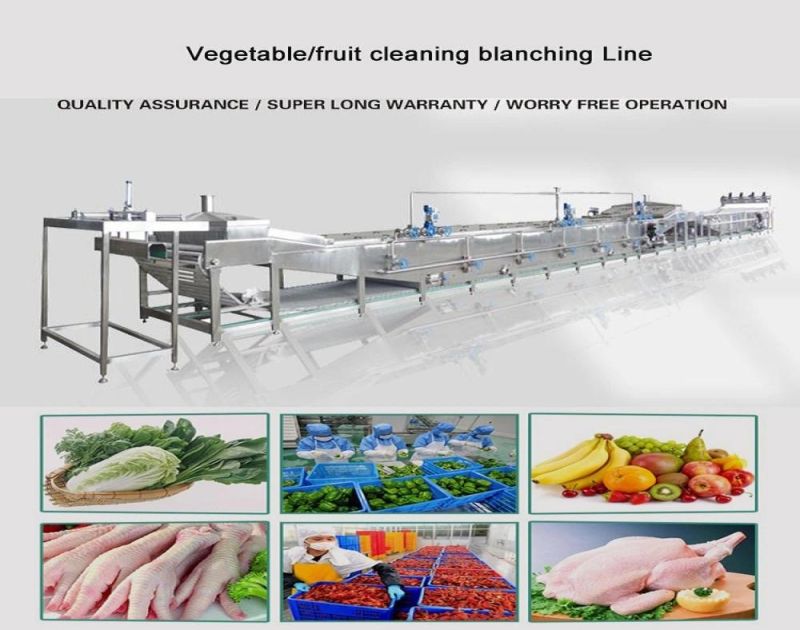 Onion Vegetable Fruit Blanching Machine /Mushroom Washing Garlic Onion Vegetables Blancher