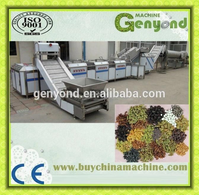 Raisin Washing/Drying/Sorting Machine