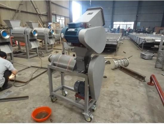 Ws New Fruit Vegetables Cutting Machine