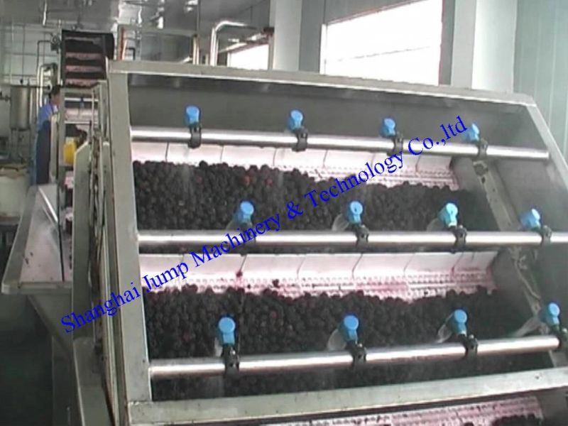 5ton Per Hour Capacity Fruit Pulp Production Line Machine