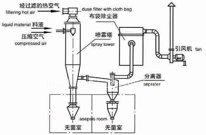 Complete Banana Powder Production Line
