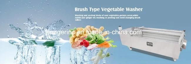 Industrial Carrot Washer Apple Washing Machine Price