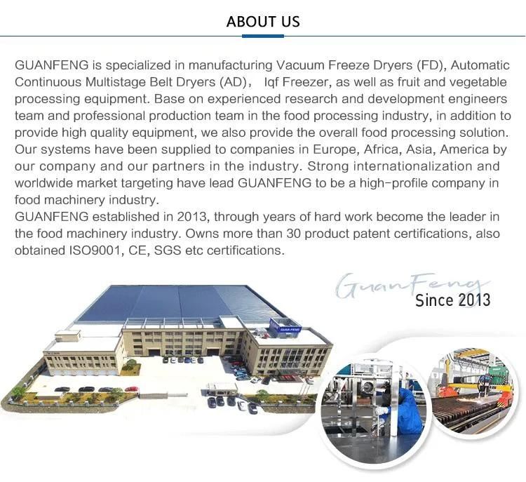 High Efficiency IQF Spiral Freezer Machine for Seafood Process Industry