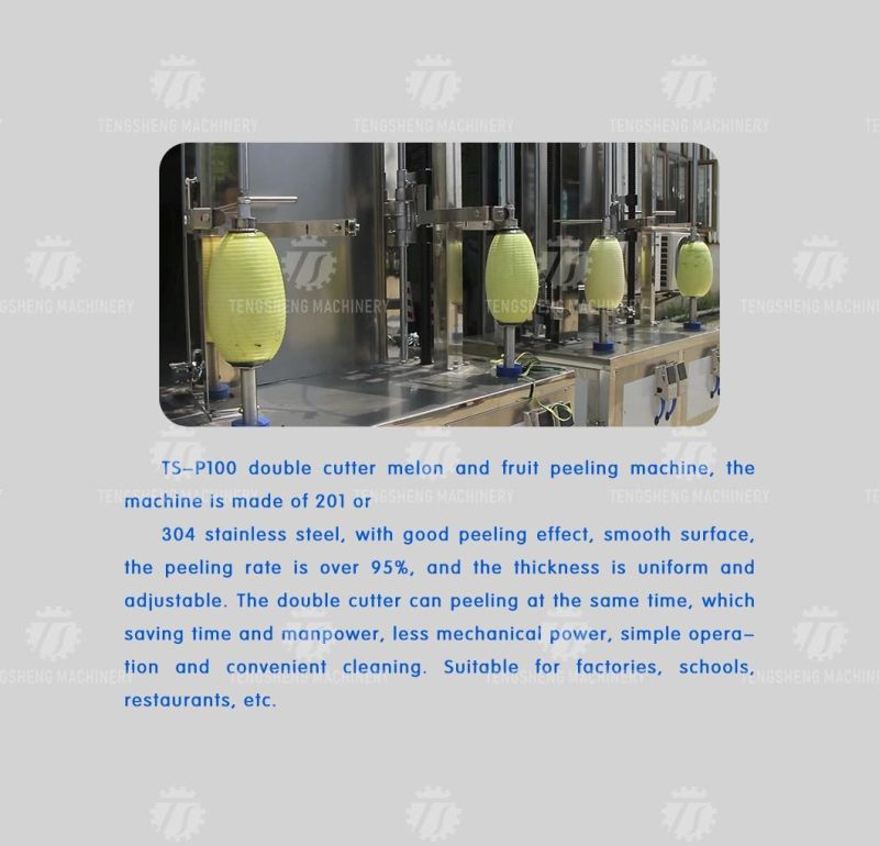 Industrial Food Processor Pineapple Squash Pumpkin Peeler Peeling Machine TS-P100