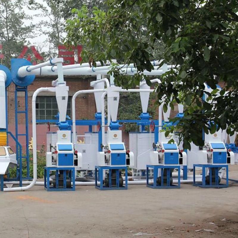 30t Maize Meal Flour Grits Making Machine