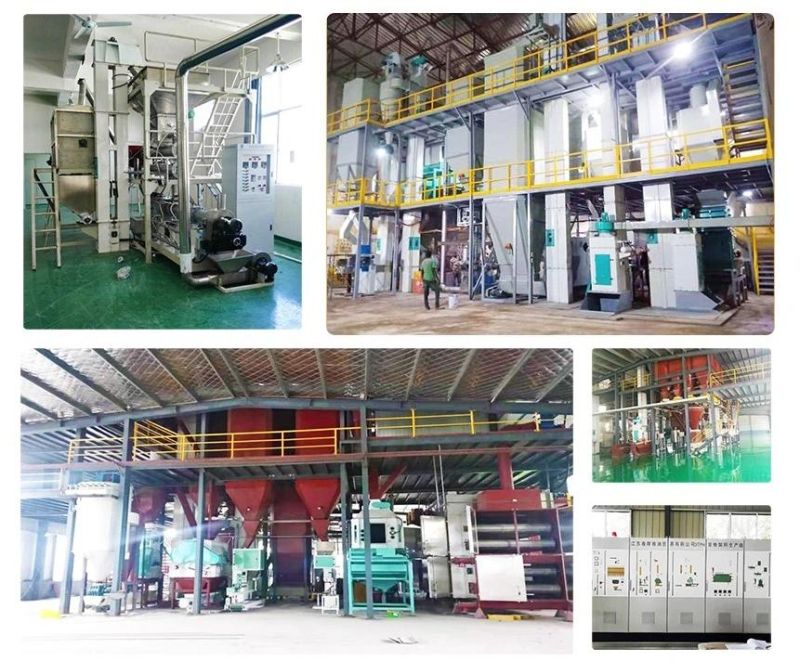 Automatic Industrial Nutritional Artificial Rice Making Extruder Machine