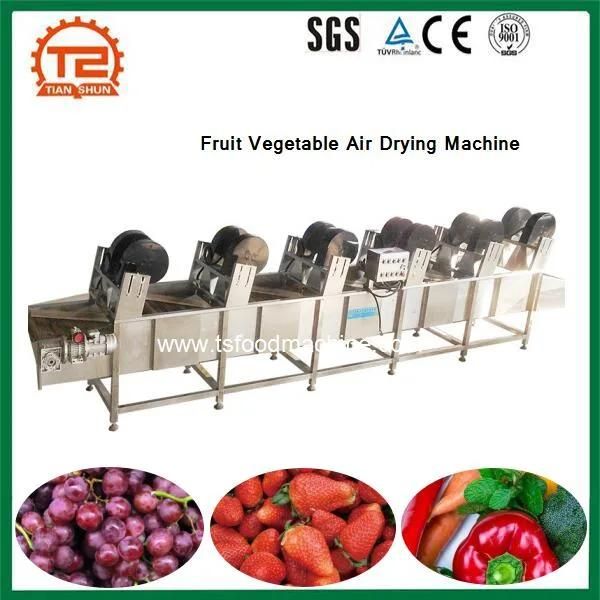 Temperature Adjustable Fruit Vegetable Air Drying Machine