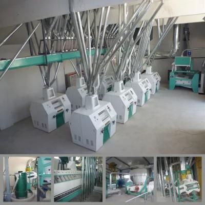 China Manufacturer of 100t Wheat Roller Flour Mill