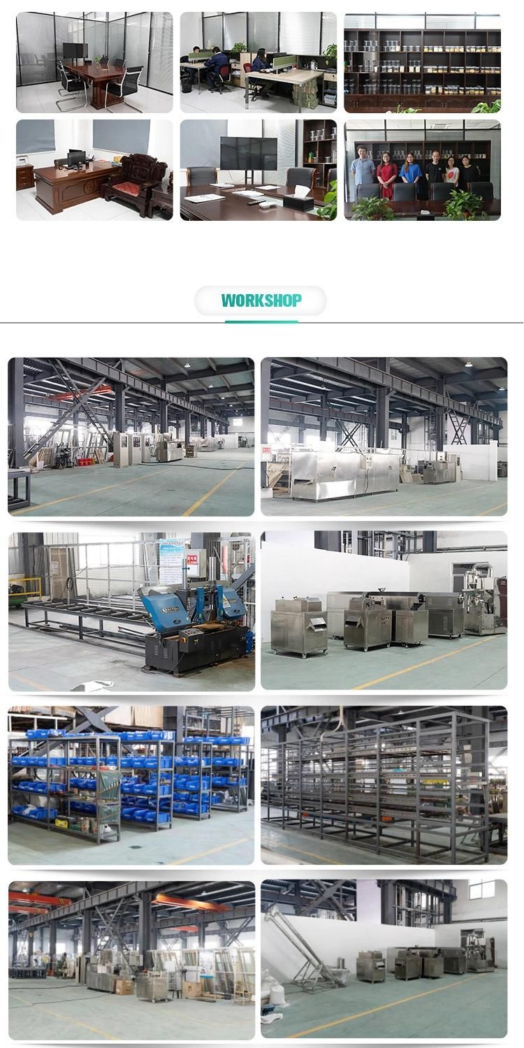 Multifunctional Fried Chips 2D 3D Snacks Extruder Production Line