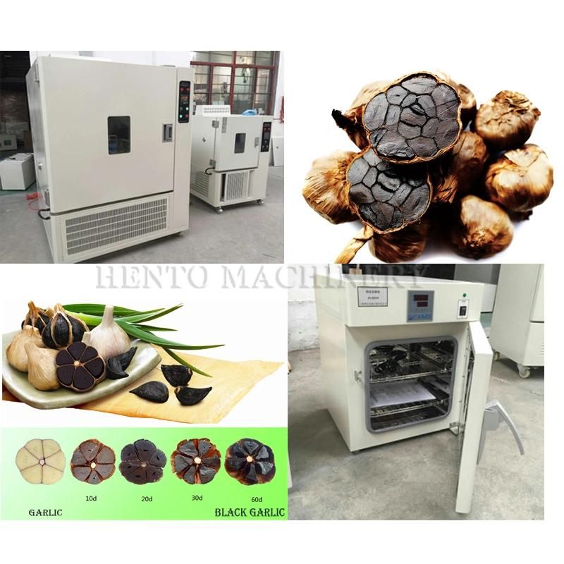 Many Models Black Garlic Fermenting Machine